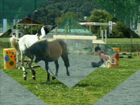 Les Ecuries du Petit soleil.