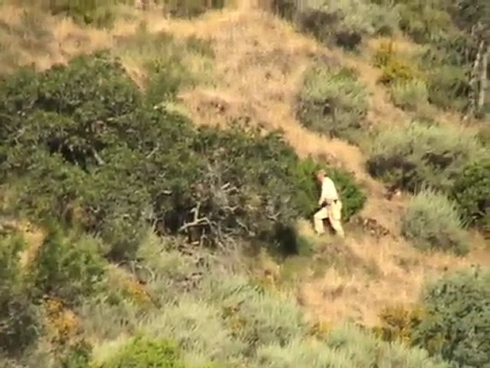 Chasse au sanglier en Corse