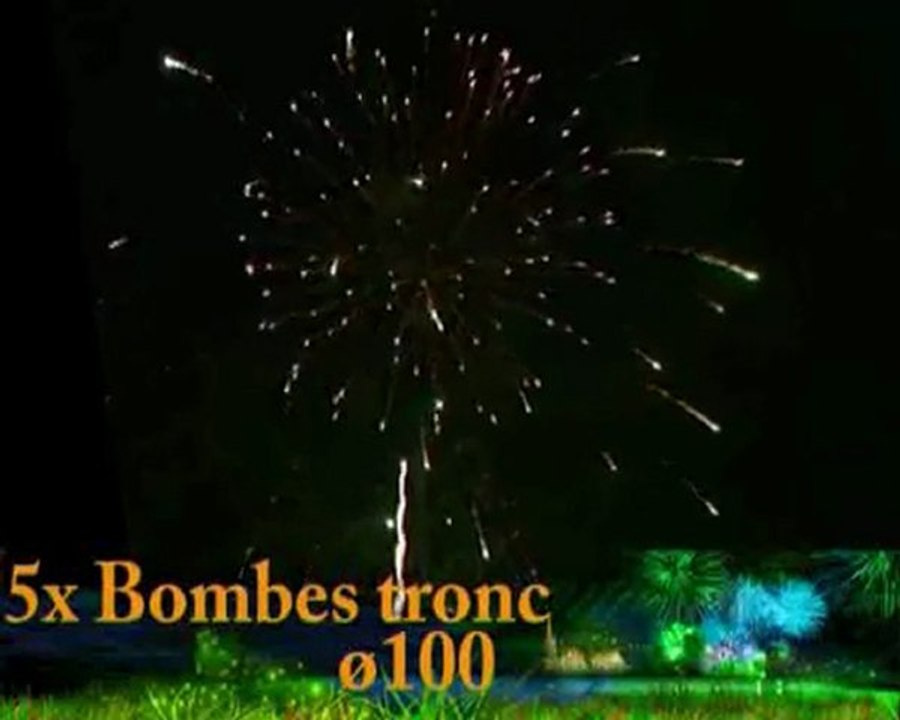 5bombes tronc 100