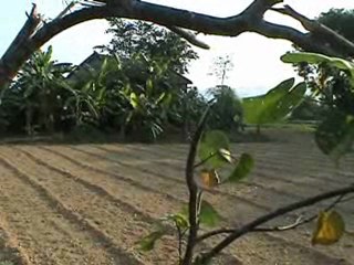 Utilisation de l'eau dans la vie courante