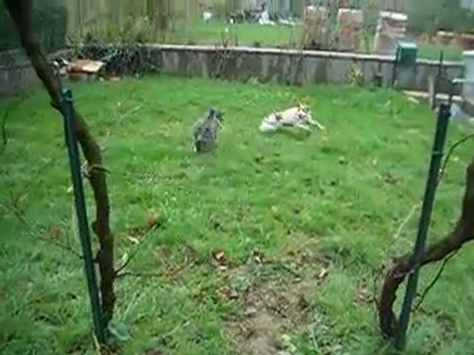 Eiko 2 mois et Dina rencontre suite