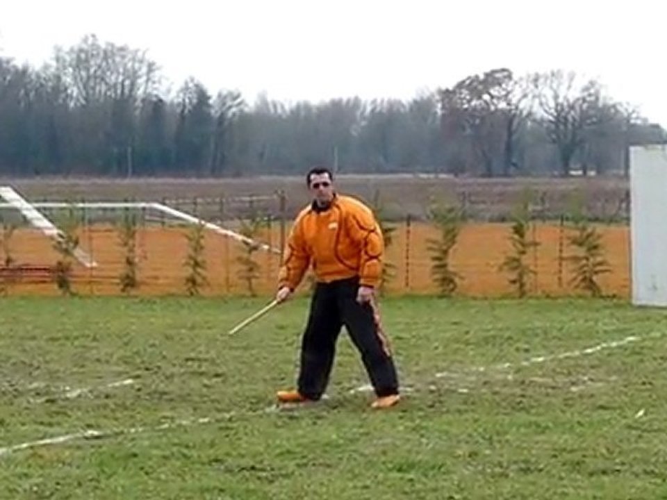 Apis l'arreté