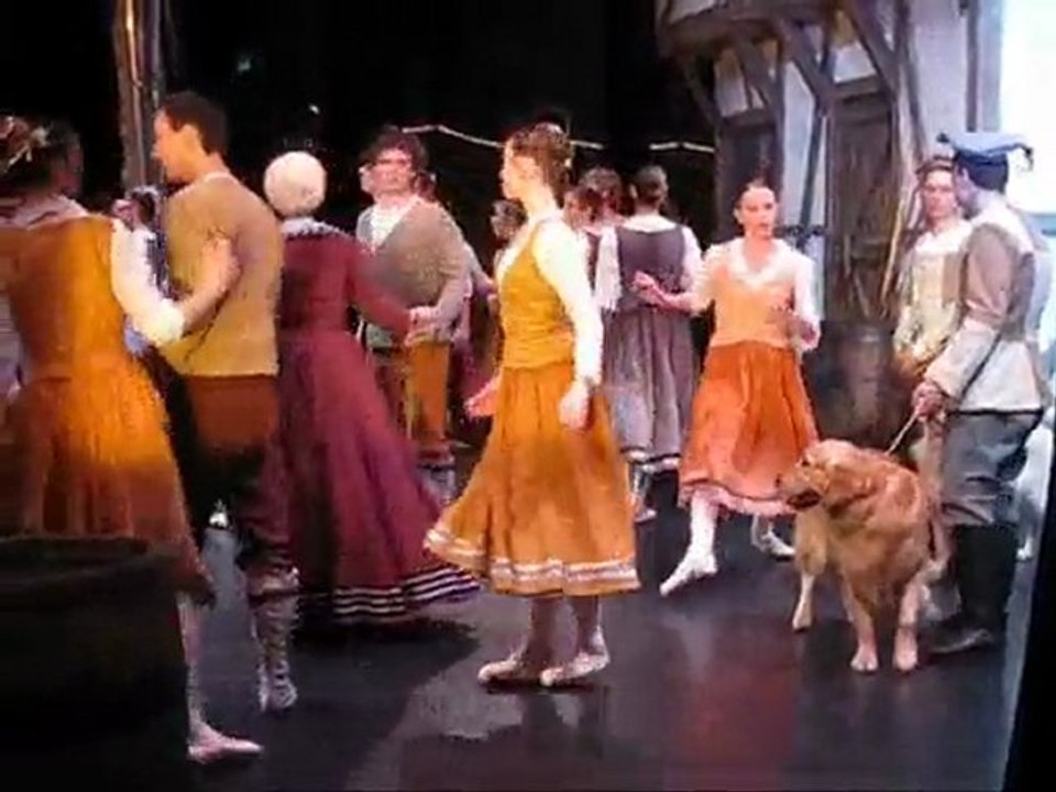 2010-02 Ballet GiselleRCFAlsace
