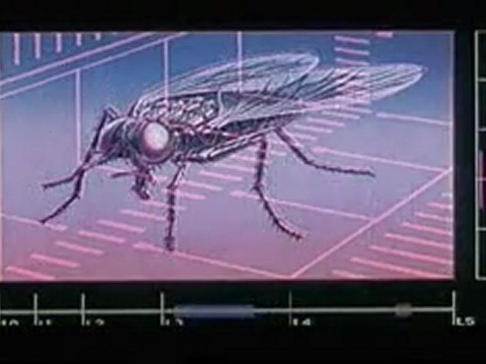 La mouche :