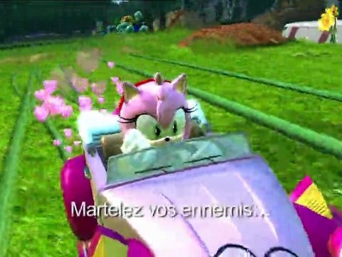 Sonic et SEGA All Star Racing