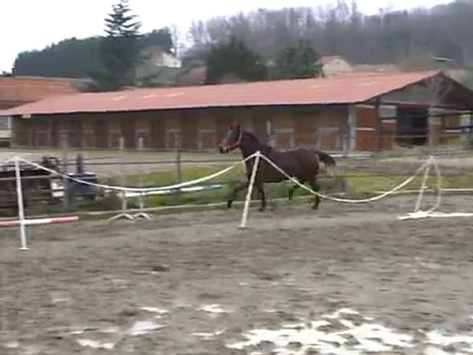 Filouzi du Pécos 3