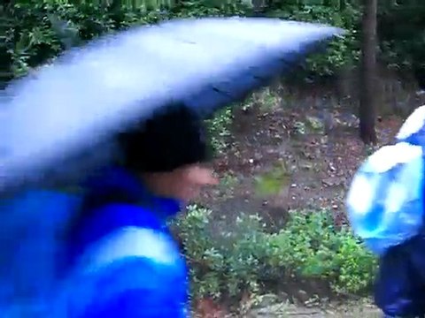 Kuşadası Kirazlı Köyü Yürüyüşü 2