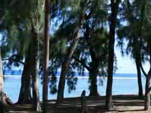 MALAKAF dètrui pa nout pèi ile de la reunion