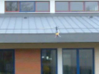 Démonstration T-rex 500 pour les tickets sport...