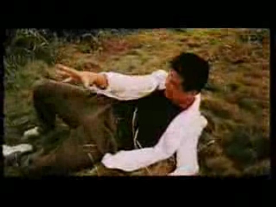 Ninja Condors - End Fight