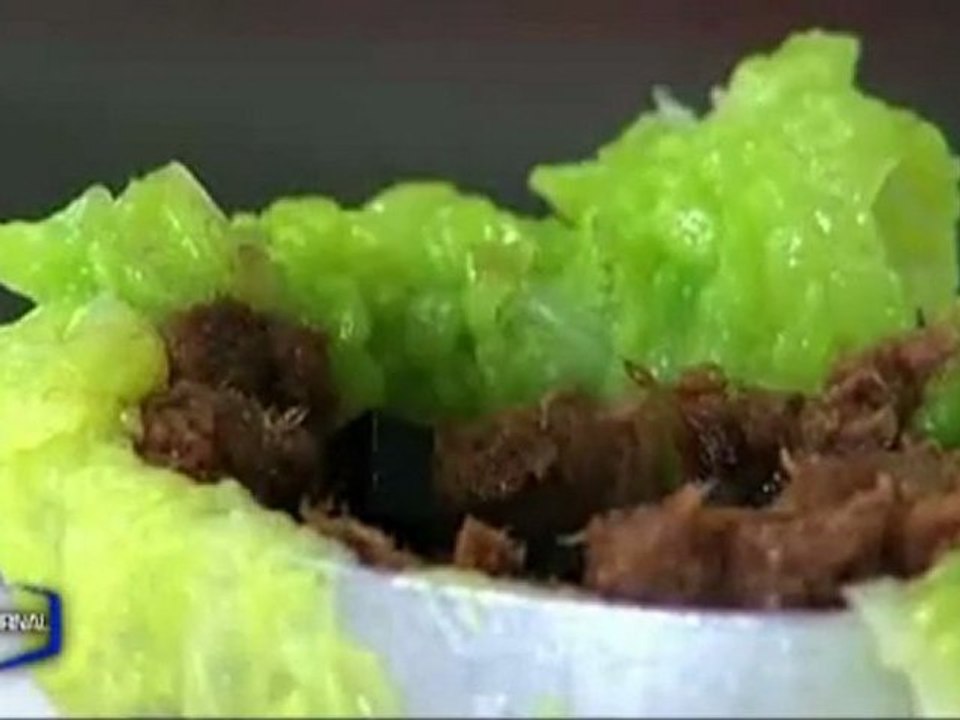 Concours autour du boeuf (La Roche-Sur-Yon)