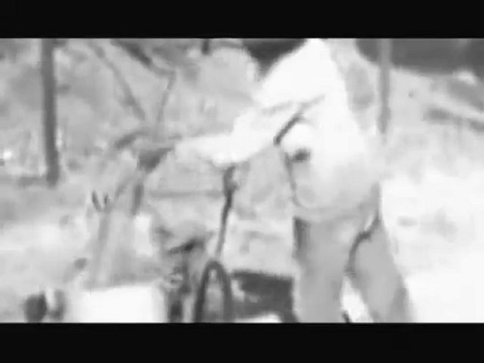 l'internationnale Mr R