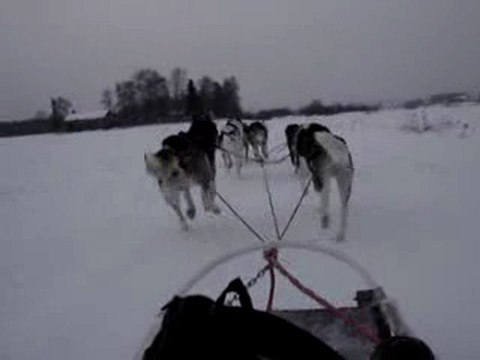 ballade en traineau à chiens
