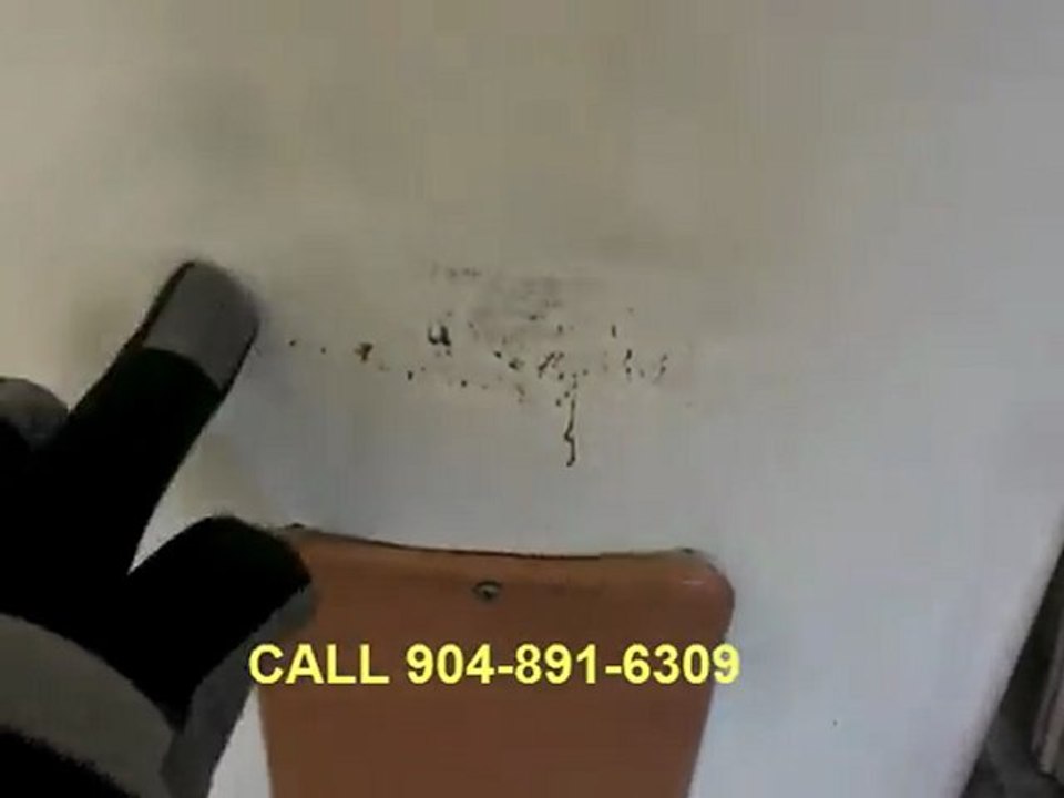 Jacksonville Residential Inspection Reveals Garage Hazard