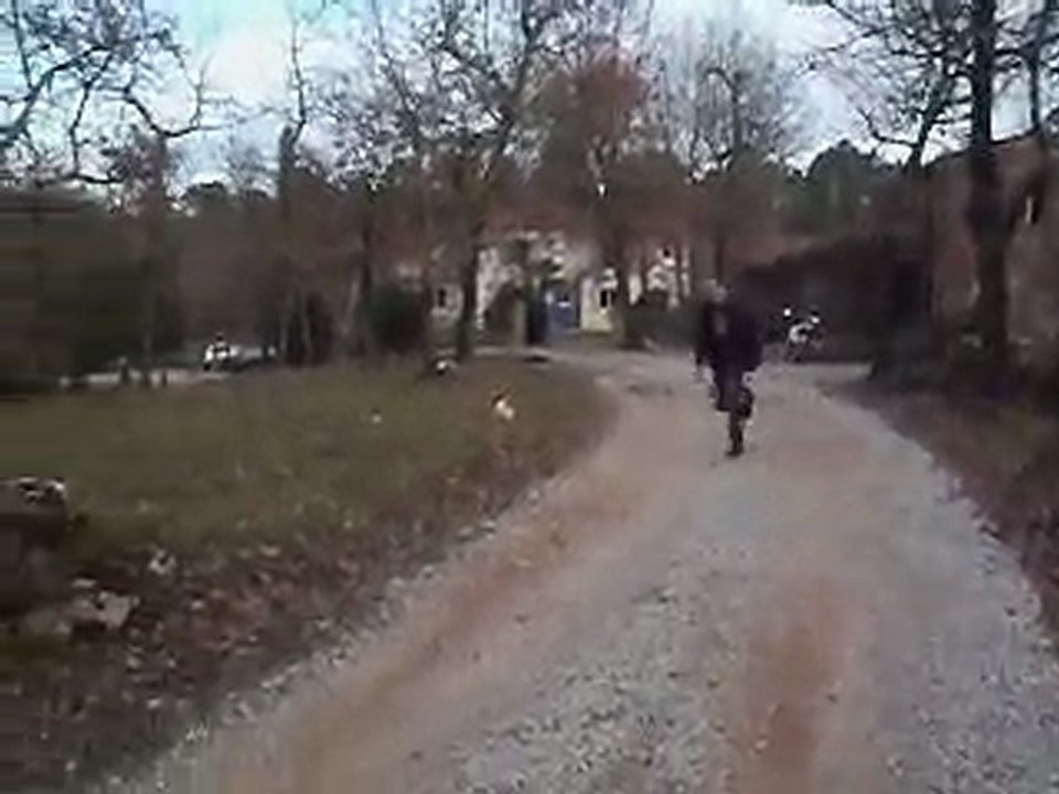 salto avant didjo tronc d'arbre