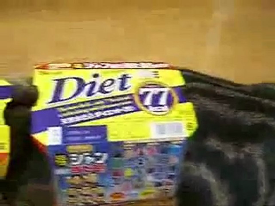 Kedi dedigin böyle olur :))