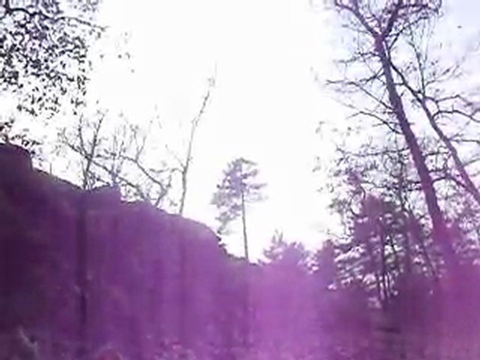 salto avant didjo