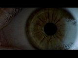 AMER (2010) - TRAILER N°2
