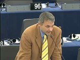 Niccolò Rinaldi on EU - South Korea