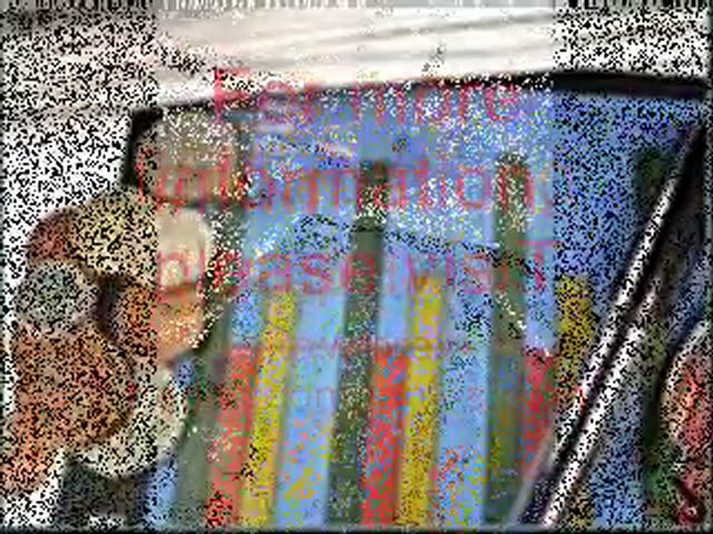 forex trading companies