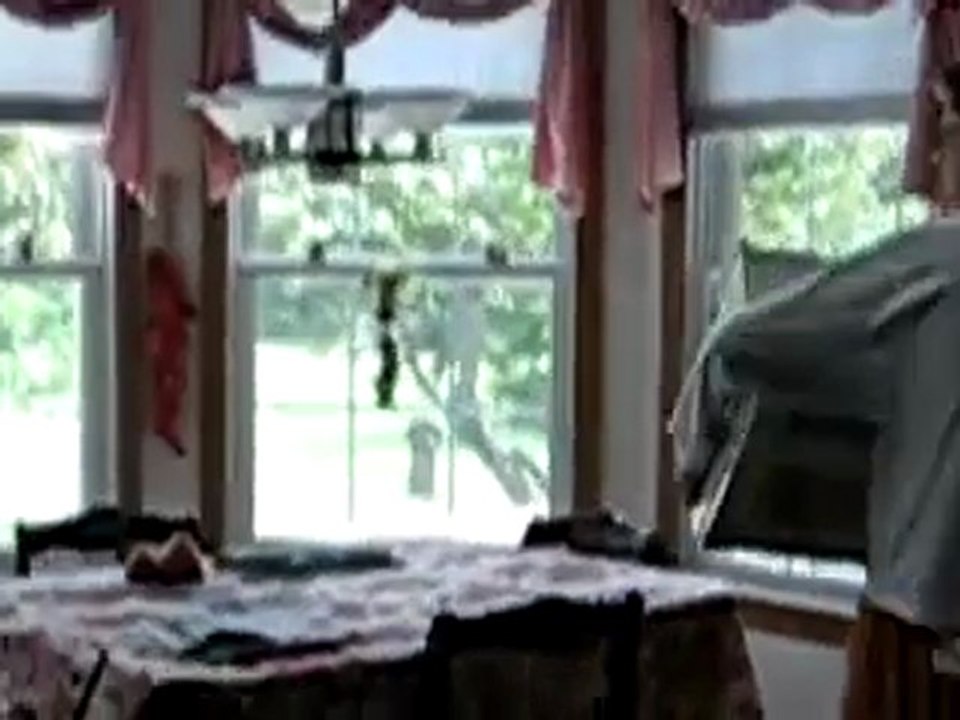 Greatest freak out ever 5 (ORIGINAL VIDEO)