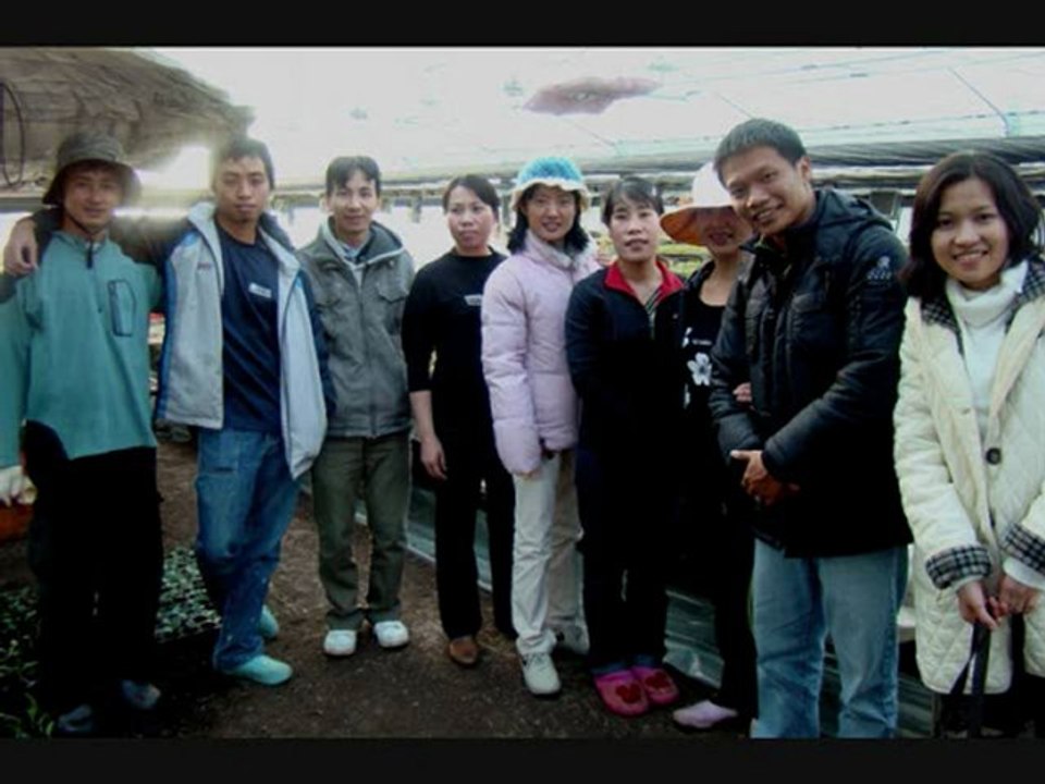 Dinh Tan Que Toi