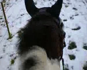 fevrier01 2010 balade dans la neige