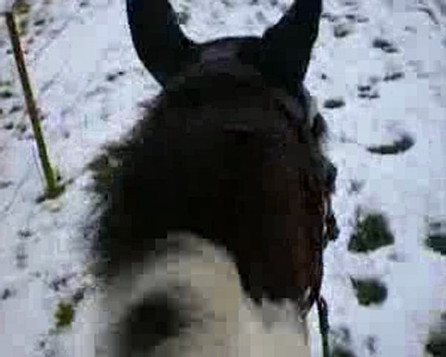 fevrier01 2010 balade dans la neige