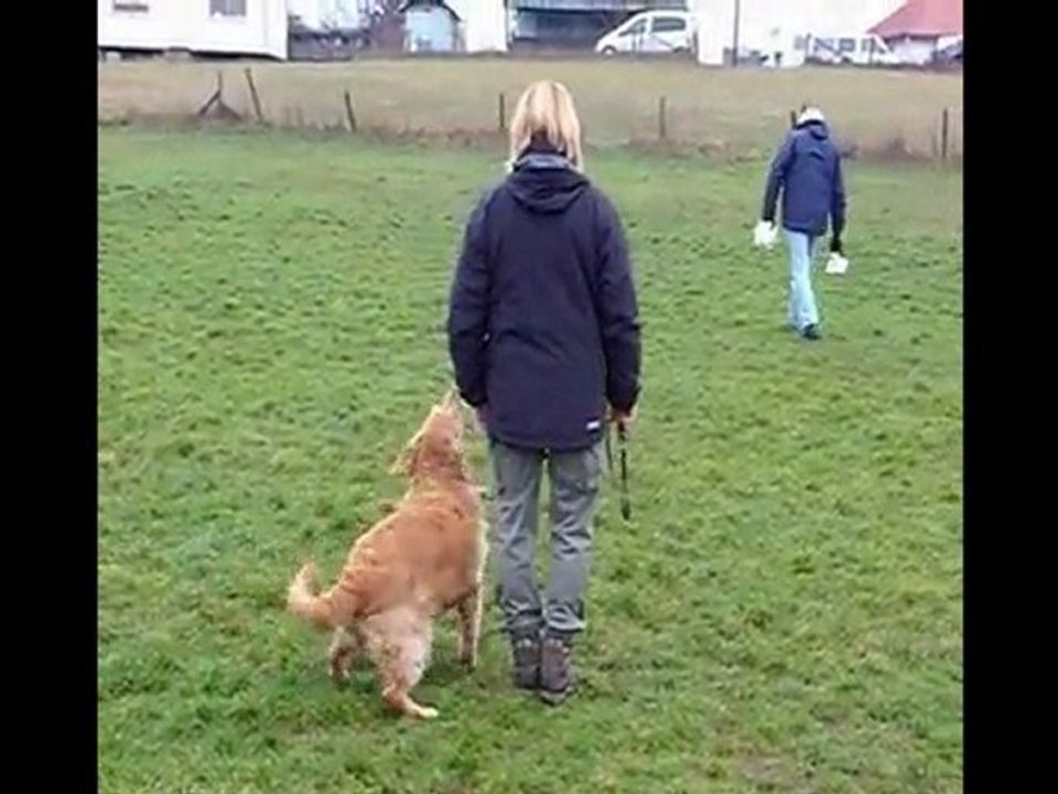 Ab caluire obeissance