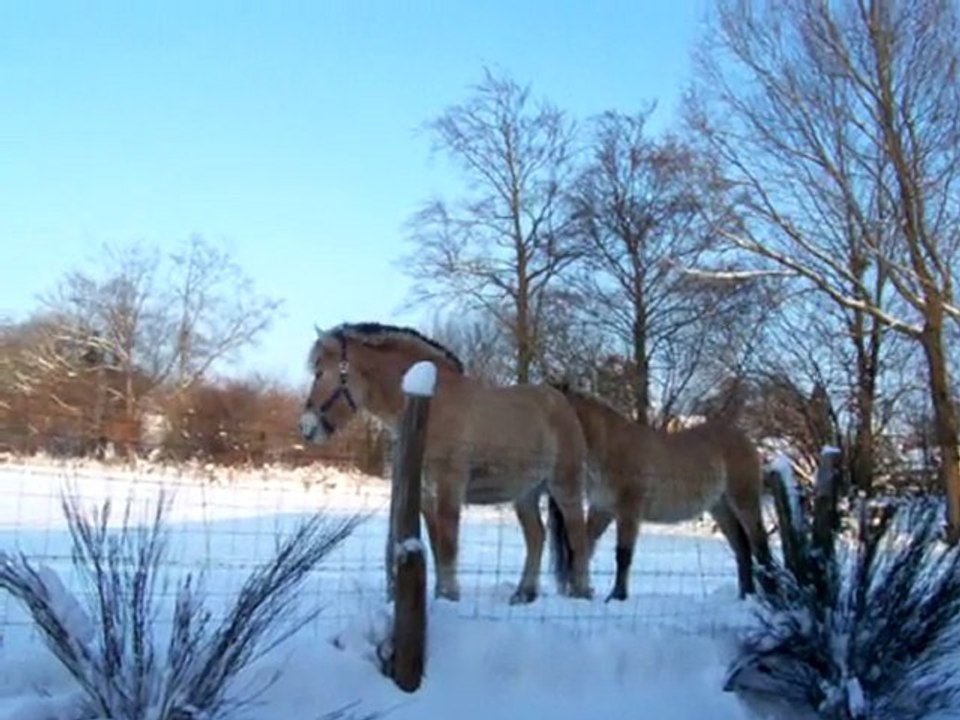 mes voisins ce matin