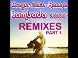 Gregor Salto and Kaoma - Lambada 3000 (Funkin Matt remix)