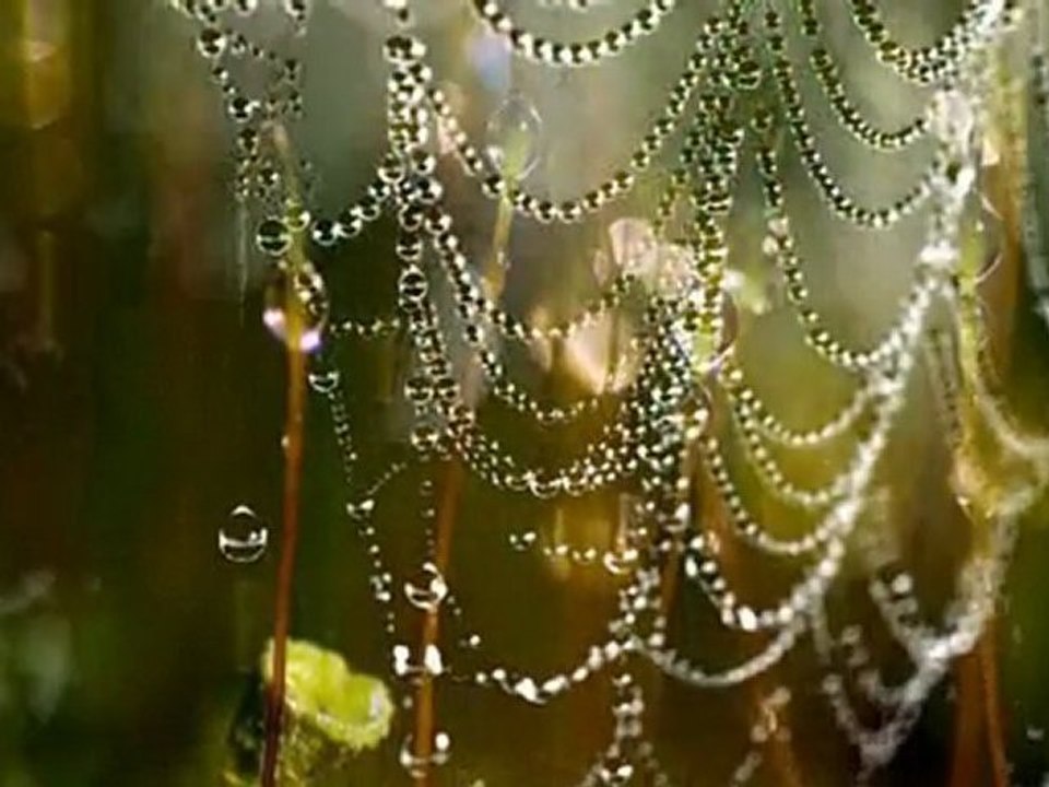 A jednak życie jest piękne...