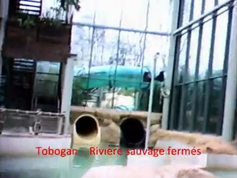 Center parcs - Voyage dans la bulle des ailettes