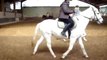 cours d'équitation de sylvie au centre équestre de bozouls