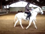 cours d'équitation de sylvie au centre équestre de bozouls