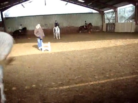 cours d'équitation de sylvie au centre équestre de bozouls