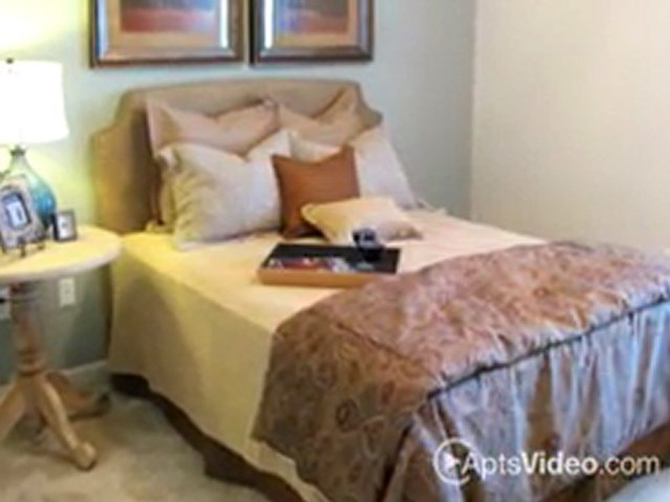 The Haven at Blanco Apartments in San Antonio, TX