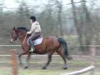 detente obst cassandre et apo 09-02-10