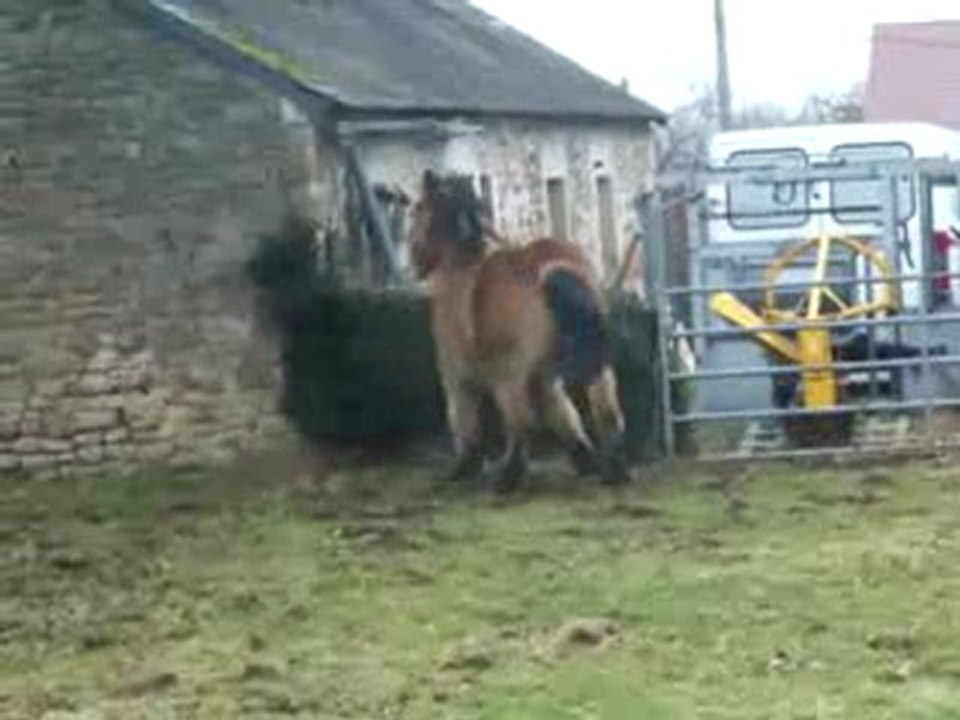 mouvement du 23 janvier