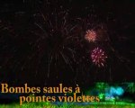 Bombes saules à pointes violettes