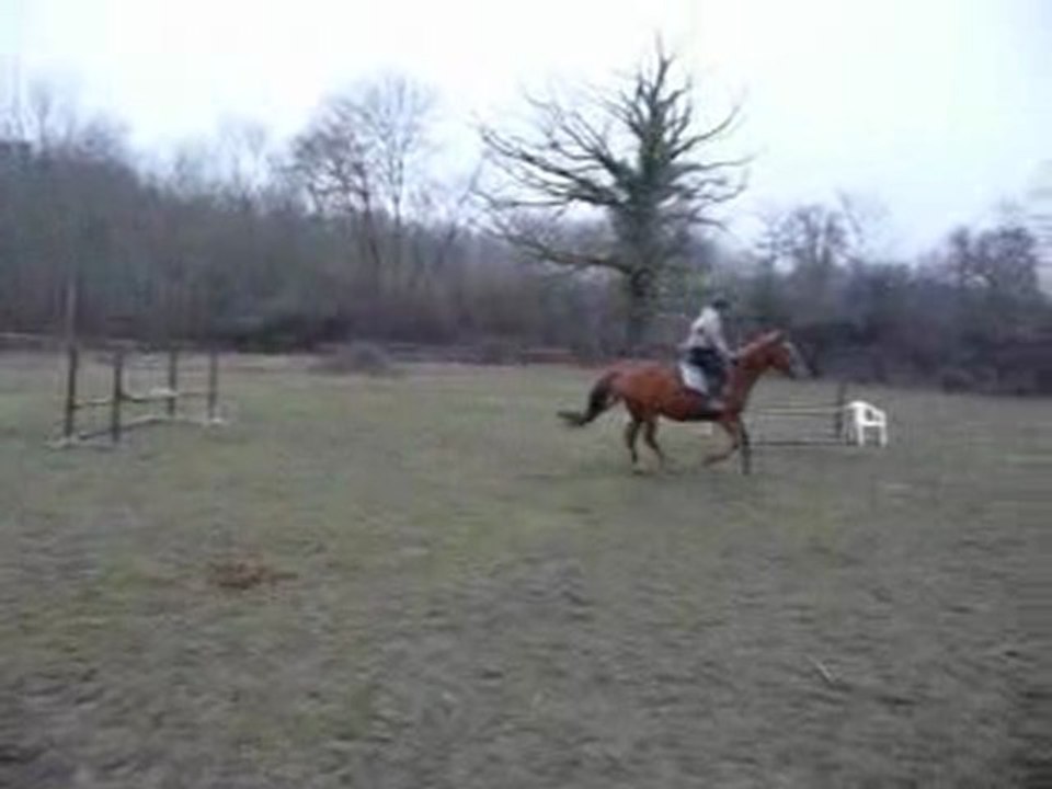 parcours1 cassandre 09-02-10
