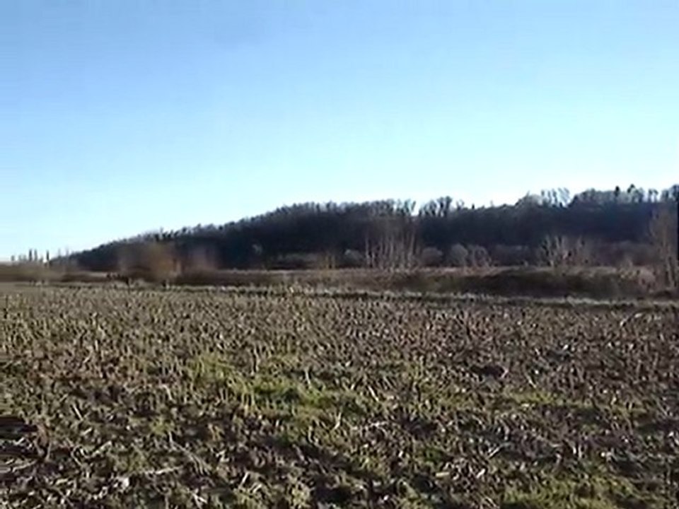 video vera de la vallée de luby faisan 006