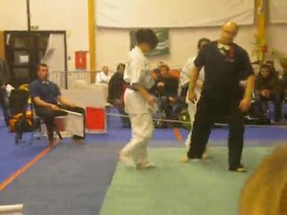 premesques 2010