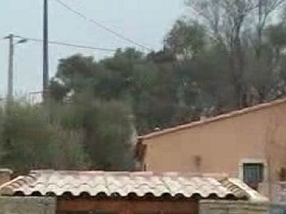 MOV039