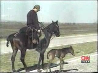 KABARTAYLAR-atların göçü...1-