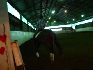 bilou clinique dressage_0001