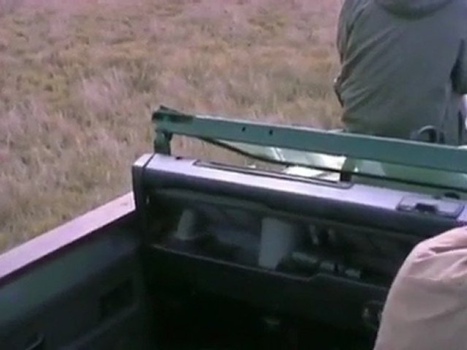 Afrique du Sud 1 - 10