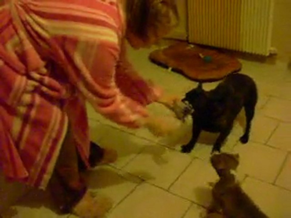 ERON MON BB avec HITCH MON BOULI