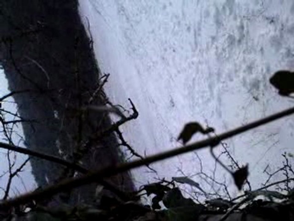 Délire dans la neige