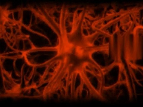 Virtuozo (Agence WEB) - Marketing, Création Internet & Référ